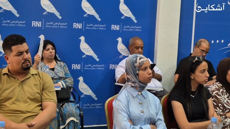 التسويق السياسي الرقمي واستراتيجيات التأثير