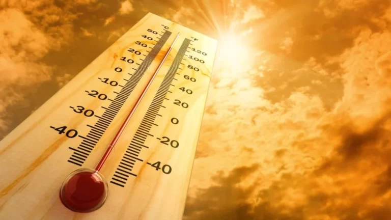 طقس الجمعة.. أجواء حارة وكتل ضبابة منخفضة بهذه المناطق