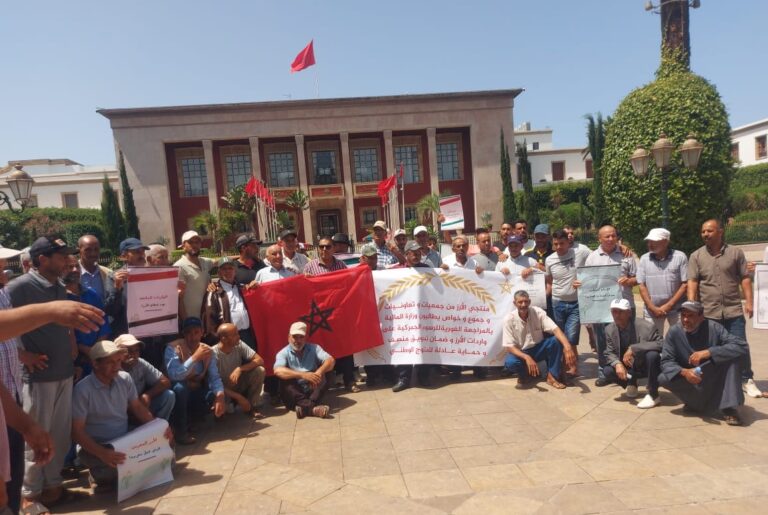 فلاحو الأرز يحتجون ضد الإغراق ويستنجدون بالحكومة قصد الانقاذ