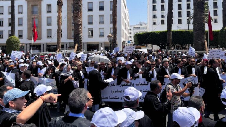 محامية: مطالبة الحكومة بإيجاد حل لقانون المهنة أصبح غير ذي سند سياسي ولا دستوري