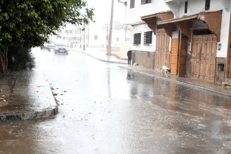 مقاييس الأمطار المسجلة بالمملكة خلال الـ 24 ساعة الماضية