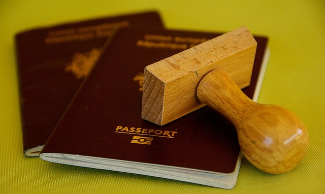ضمنها المغرب.. محكمة امريكية تلغي قرار ترامب بتعليق تأشيرة الهجرة لعدد من الدول