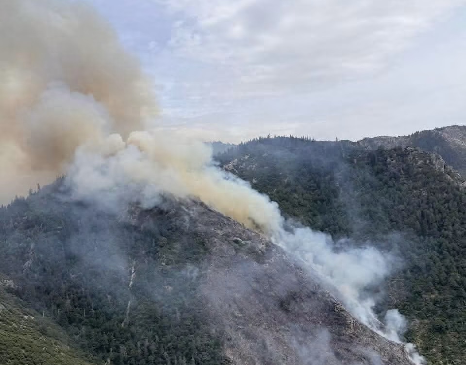 حريق مهول يستنفر السلطات في شفشاون (صور)