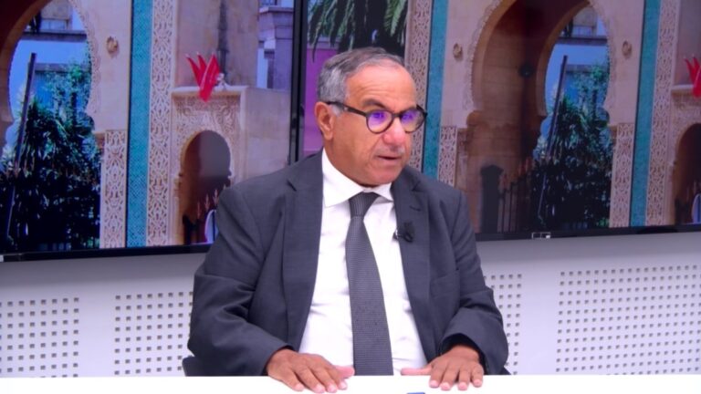 عفوا: هل صدر قرار المحكمة الدستورية داخل الأجل؟