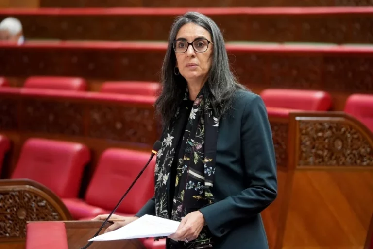 عدم تسوية أراضي قدماء المحاربين تجر فتاح العلوي للمساءلة