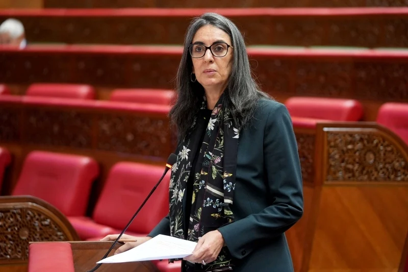 عدم تسوية أراضي قدماء المحاربين تجر فتاح العلوي للمساءلة