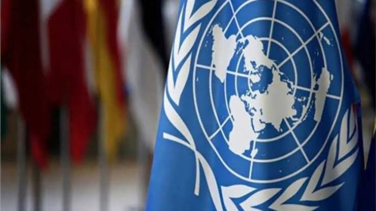 الأمم المتحدة تدعو لقواعد شاملة لحماية الأطفال على الشبكات الاجتماعية