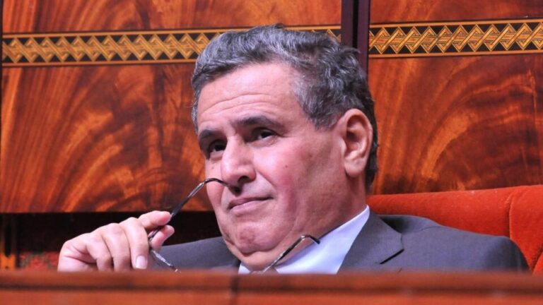 أخنوش يعلق على نتائج الاقتراع: نحترم إرادة الناخبين ونعتز بما قدمناه خلال الولاية الحكومية