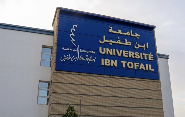 جامعة ابن طفيل تطلق إجازة جامعية متخصصة في “الإعلام والتواصل والذكاء الاصطناعي التطبيقي”