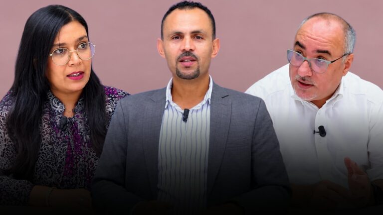 الملك يمنح المنصوري ضوءا أخضر لتشكيل حكومتها بأريحية (فيديو)