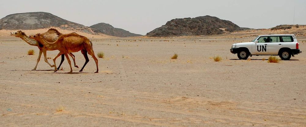أمريكا تقترح تغيير ”المينورسو” إلى بعثة ”مينوسو”