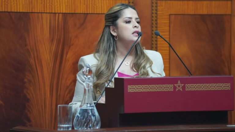 ريم شباط رئيسة للفريق الحركي بمجلس النواب
