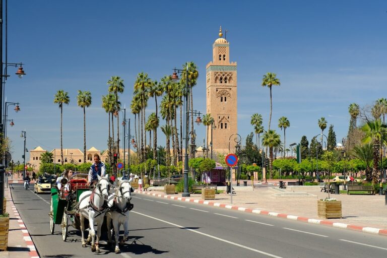 درجات الحرارة الدنيا والعليا المرتقبة غدا الأحد