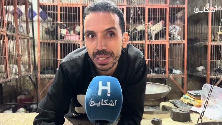 أسباب غلاء أسعار الدواجن و البيض